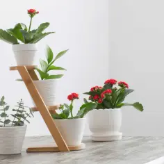 Jak zrobić kwietnik kaskadowy: prosty poradnik DIY krok po kroku