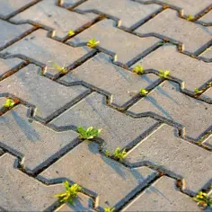 Jak usunąć trawę z kostki brukowej: 5 skutecznych metod