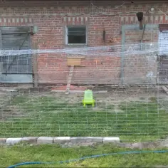 Jak zrobić ogrodzenie dla kur: Prosty poradnik krok po kroku