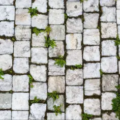 Skuteczne sposoby usuwania mchu z kostki brukowej - poradnik