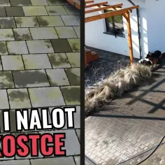 Jak usunąć zielony nalot z kostki brukowej - skuteczne metody i porady