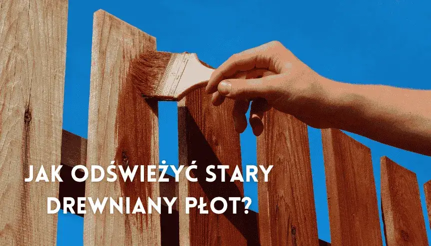 Zdjęcie Czym pomalować drewniany płot forum – najlepsze porady i produkty